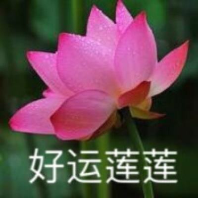 外交部驳斥美政要向台湾地区领导人表达“祝贺”